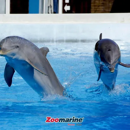 House Beach - Roma * Torvaianica